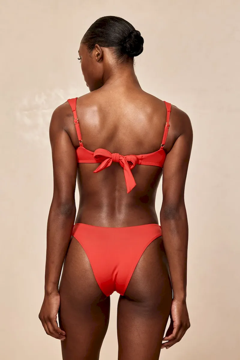 Malibu Top Chili Pepper - Image 5