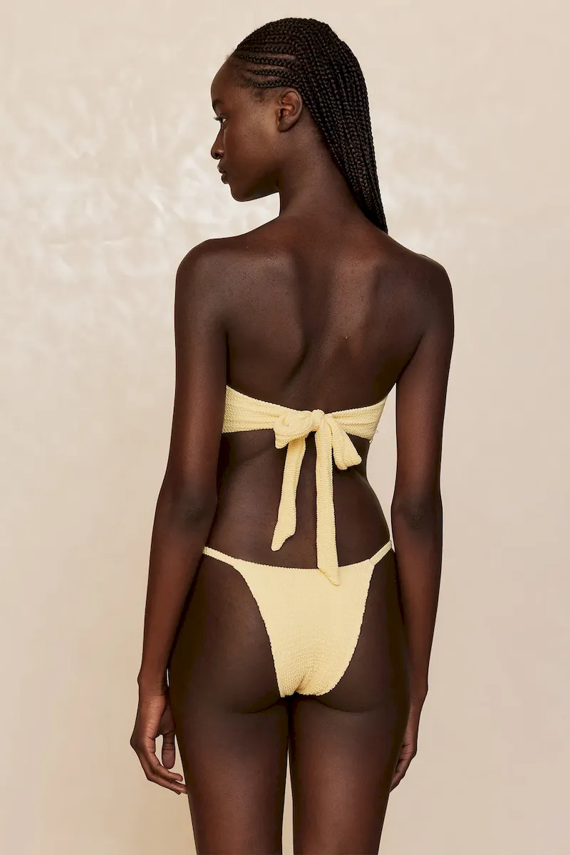 Barbados Bottom Honey Crinkle - Image 6