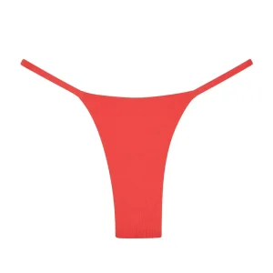 Barbados Bottom Strawberry